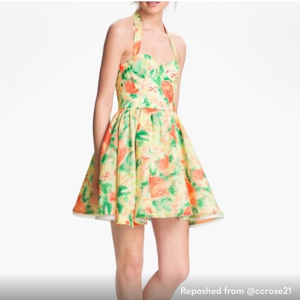 Alice and Olivia Fleur Bustier dress